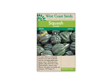 Acorn Squash Reno9 Seeds West Coast Blue Grass Nursery Sod