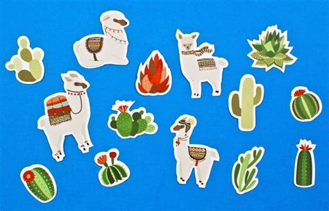 Cacti occur in a wide range of shapes and sizes. Stickii August 2017 Sticker Subscription Review & Coupon ...