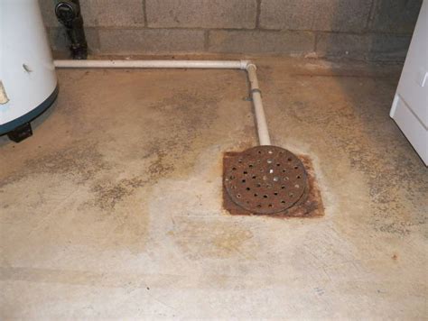 Plumbing Install A Sink That Drains Into This Floor Drain Love