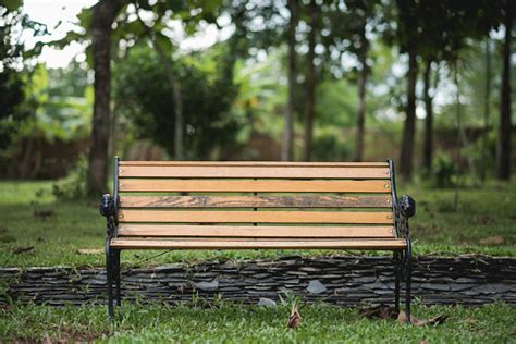 Bench In The Park On Green Background Stock Photo Download Image Now