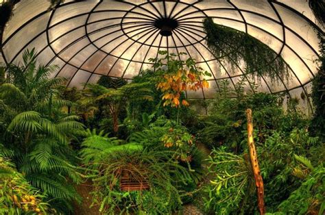 Image Result For Tropical Greenhouse Tropical Greenhouses Green