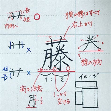 ゆめふで ペン字 ️🇯🇵はinstagramを利用しています 「『藤』ふじ ＊ yuki ppe さん、からのリクエスト😊 ＊ ＊ ⚠️現在、リクエスト受付はしておりません🙇