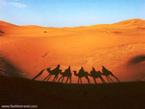 En Octubre Volvemos A Viajar Al Desierto Para Descubrirnos Con La