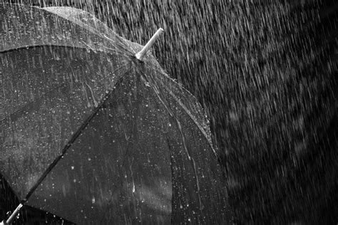 Kerala Monsoon Kerala Rain Alert Heavy Monsoon Rains In The State