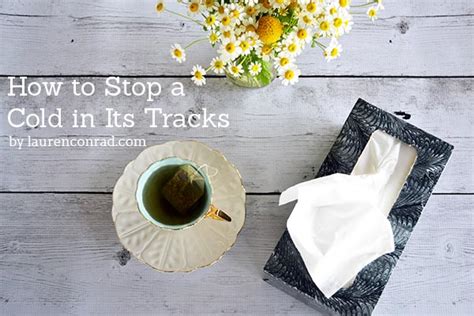 Immunity Boost: How to Stop a Cold In Its Tracks - Lauren ...