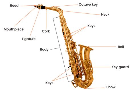 Как устроен саксофон схема 92 фото
