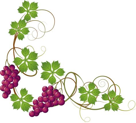 Grapevine Clipart Images 10 Free Cliparts Download Images On