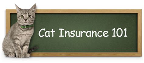 If your cat is injured, your liability insurance company will not be responsible for settling the claim. June 2013 - Neat-Pets ( Dogs & Cats )