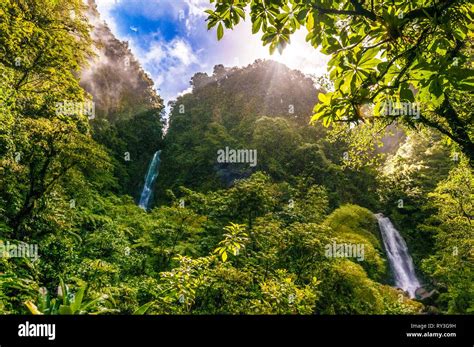 dominica morne trois pitons national park inscribed on the world heritage list by unesco