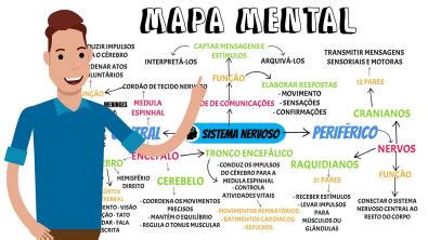Mapa Mental Sistema Nervoso Anatomia I