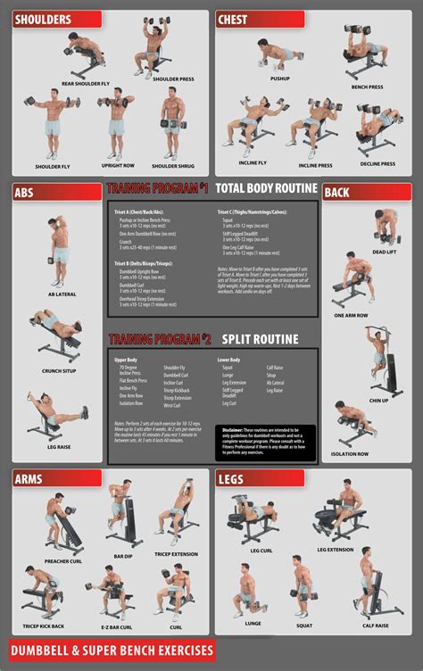 Dumbbell Workouts Exercise Charts Free Weight Lifting Workouts Dumbbell Workout Routine Free