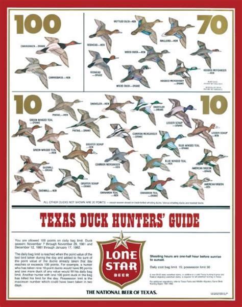 Duck Identification Chart Lone Star Beer Duck Hunters Y
