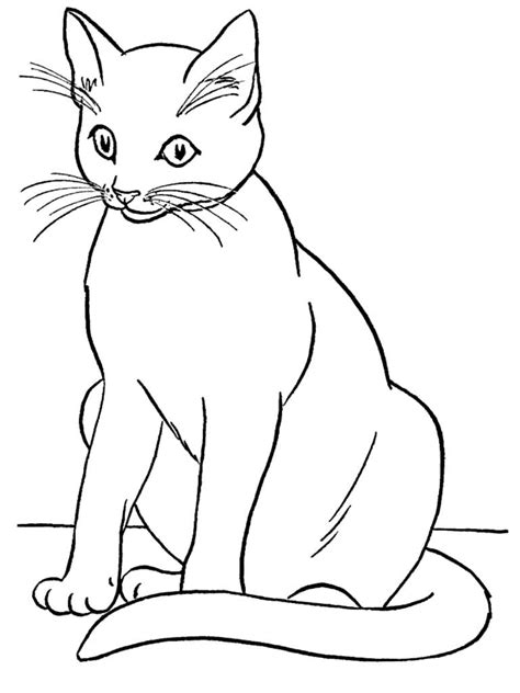 Realistic Cat Coloring Page For Kids Animal Coloring Pages Printables