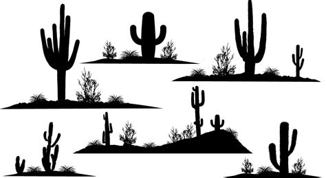 Cactus Silhouettes Arizona Botany Cactus Climate Mexico Nature