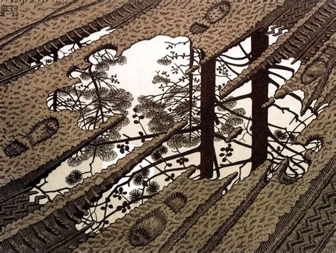 Otherworldly Reflection Mc Eschers Puddle Daddyelk Productions