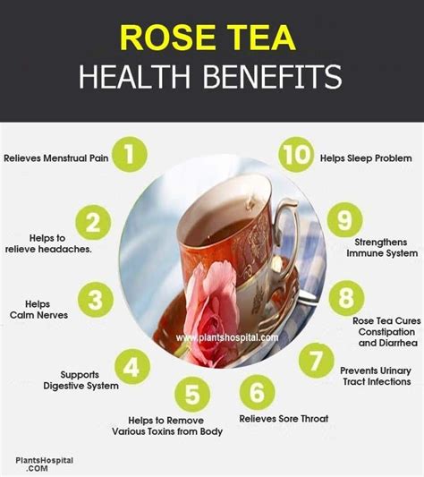11 Best Health Benefits Of Rose Tea Uses Side Effects And Warnings