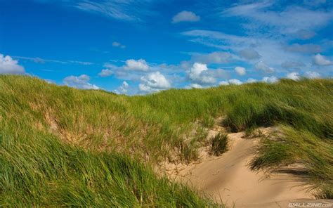 Grass Sand Dunes Hd Desktop Wallpaper Beach Wallpaper