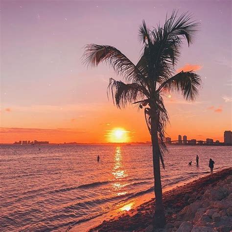 Palm Trees And Sunsets Its What Miami Does Best 360val Miamibeach