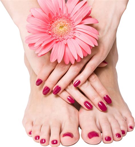 We did not find results for: Nails PNG