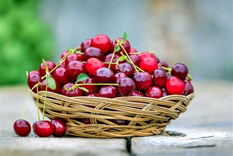 In order to reduce the risk of food borne diseases. Can Dogs Eat Cherries with or without Seeds? - Dog Carion