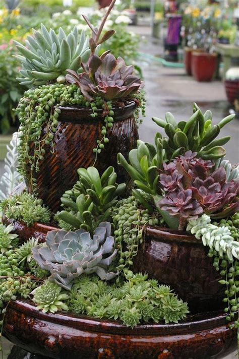 7 Unique Homemade Terrarium Ideas For Your Spring Décor Succulents