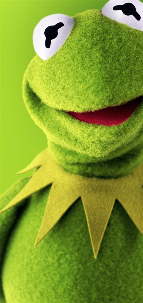 Kermit The Frog Meme Wallpaper Iphone Tukinem Wallpapers