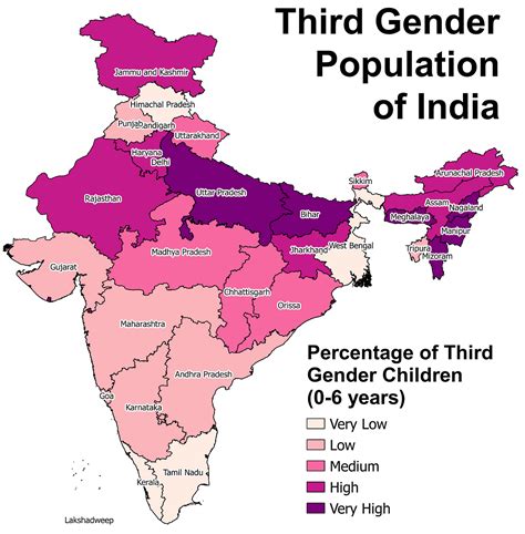 Counting The Third Gender Aishwarya Venkat Medium