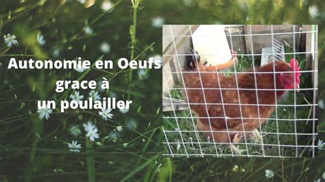 Avoir Un Canard Dans Son Jardin - Avoir un poulailler dans son jardin - YouTube