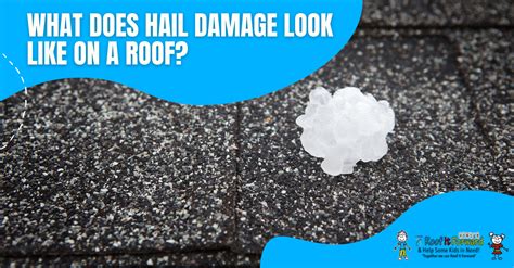 What Does Hail Damage Look Like On A Roof Roof It Forward Roof It