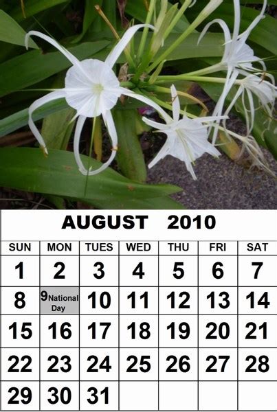 Jonsent Blog August Calendar 2010