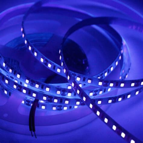 5m Uv Ultraviolet Purple 120ledm 60ledm Strip Lamp 395 405nm Black