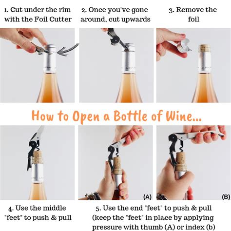 Rotate corkscrew 6 half turns. Wine Basics - Stew Secrets