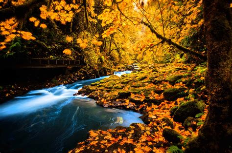 Stream In Autumn Forest Hd Wallpaper Background Image 2000x1328