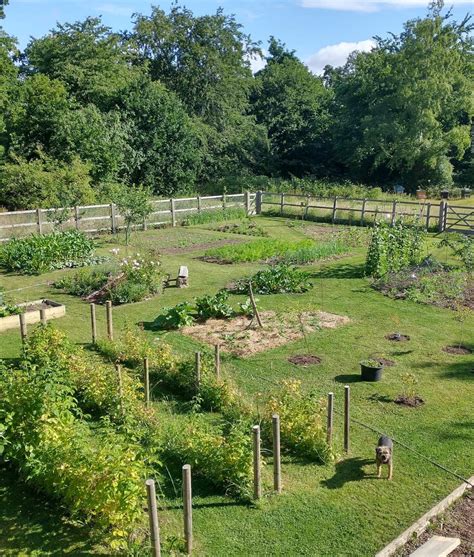 The changes after months of hard work 💪🏼🥕 - The Green Thumbs