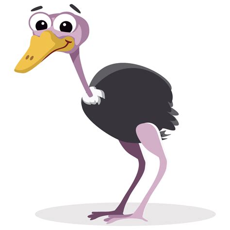 Collection of Ostrich HD PNG. | PlusPNG