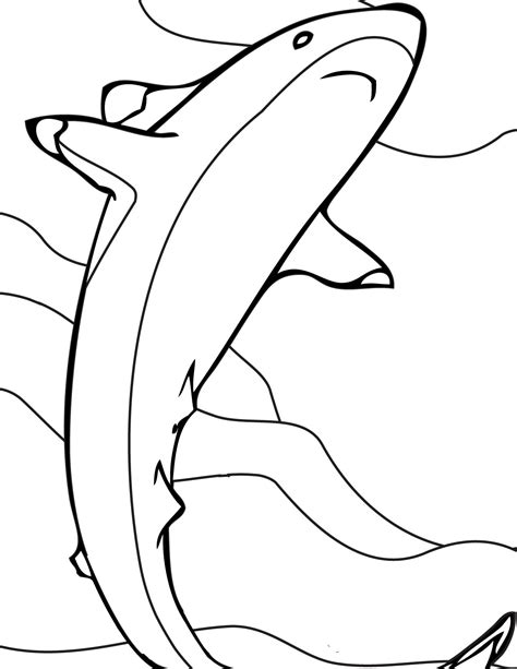 Free Printable Shark Coloring Pages For Kids HD Wallpapers Download Free Images Wallpaper [wallpaper896.blogspot.com]