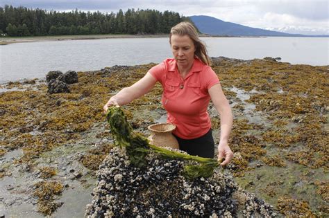 ‘wild Woman’ Finds Home In Juneau Peninsula Clarion