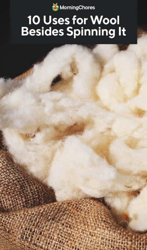 10 Uses For Wool Besides Spinning It Wool Spinning Wool Insulation