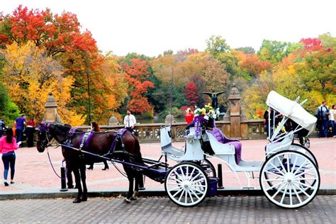 Nyc Horse Carriage Ride In Central Park 50 Minutes Photo Stops