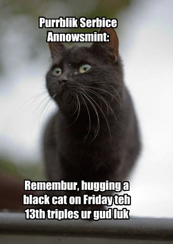 I Can Has Cheezburger Friday The 13th Funny Animals Online