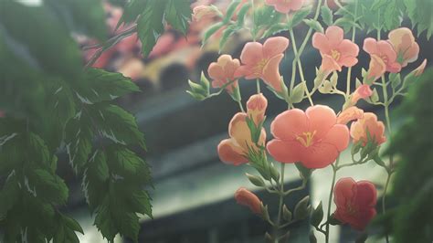 Pin By Qυєєท кiττєท On Violet Evergarden Anime Flower Flower