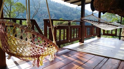 Discover accommodation meaning and improve your english skills! The Ultimate Guide to Malaysian Eco Resorts & Sustainable ...