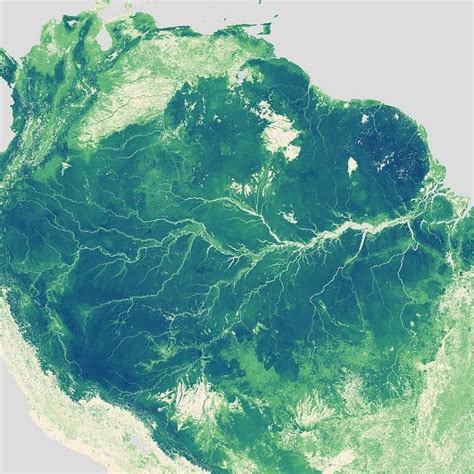 Rainforests Surrounding Amazon River Map Sourc Amazon River