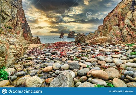 Hermosa Playa De Paisaje Y Ensenada Garrapata Parque Estatal Big Sur California Usa Imagen De