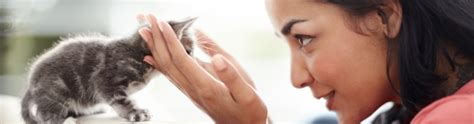 Quelles sont les meilleures idées d'entreprise autour des animaux de compagnie ? Une entreprise composée d'amoureux des animaux. | Purina