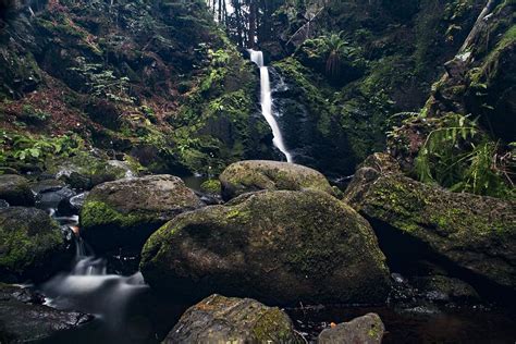 Hd Wallpaper Timelapse Photo Of Waterfalls Flowing Between Moss