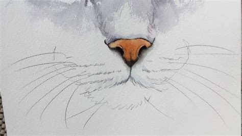 How to draw a nose? How to paint a cat's nose - YouTube