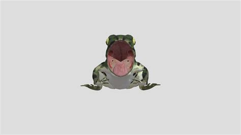 Frog 3d Model By 9daymta 26b4c89 Sketchfab