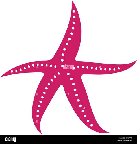 Plantilla De Diseño De Ilustración Vectorial De Starfish Imagen Vector