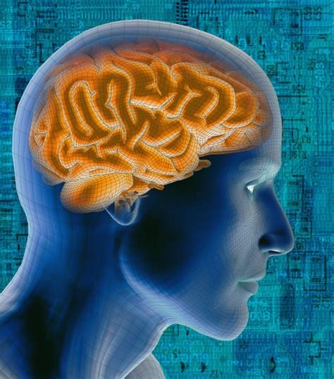 Oxygen Reverses Brain Damage After Stroke